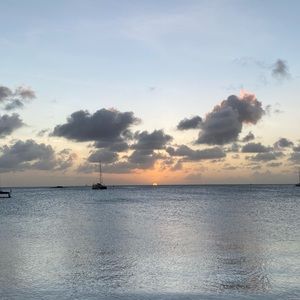 Meet your Posher, Sue